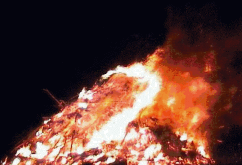 kep-266.gif
